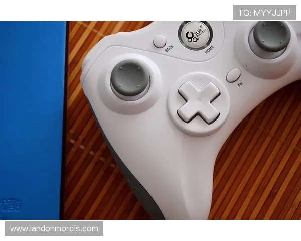 万博官方网站登录入口最新指南，帮助玩家轻松安全进入游戏平台