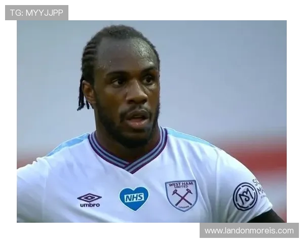 天空体育中文官网最新赛事直播信息全面解析助你第一时间掌握体育盛事