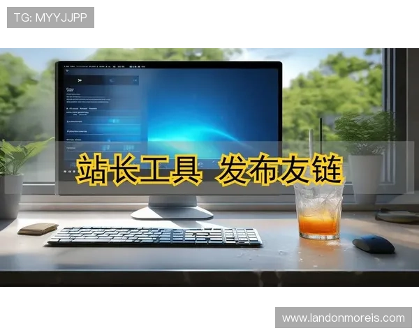 提升网站排名必备的万博网址站长工具功能详解与操作流程介绍